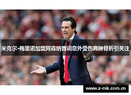 米克尔·梅里诺加盟阿森纳首训意外受伤肩膀骨折引关注 米克尔·梅里诺加盟阿森纳首训意外受伤肩膀骨折引关注