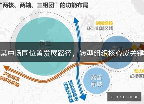 某中场同位置发展路径,转型组织核心成关键 某中场同位置发展路径,转型组织核心成关键