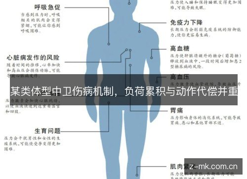 某类体型中卫伤病机制,负荷累积与动作代偿并重 某类体型中卫伤病机制,负荷累积与动作代偿并重